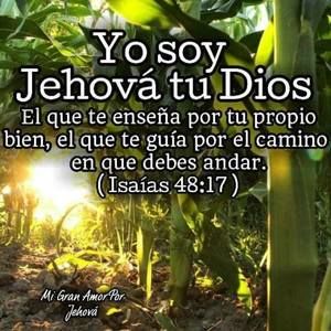 Meet your Posher, Nelson